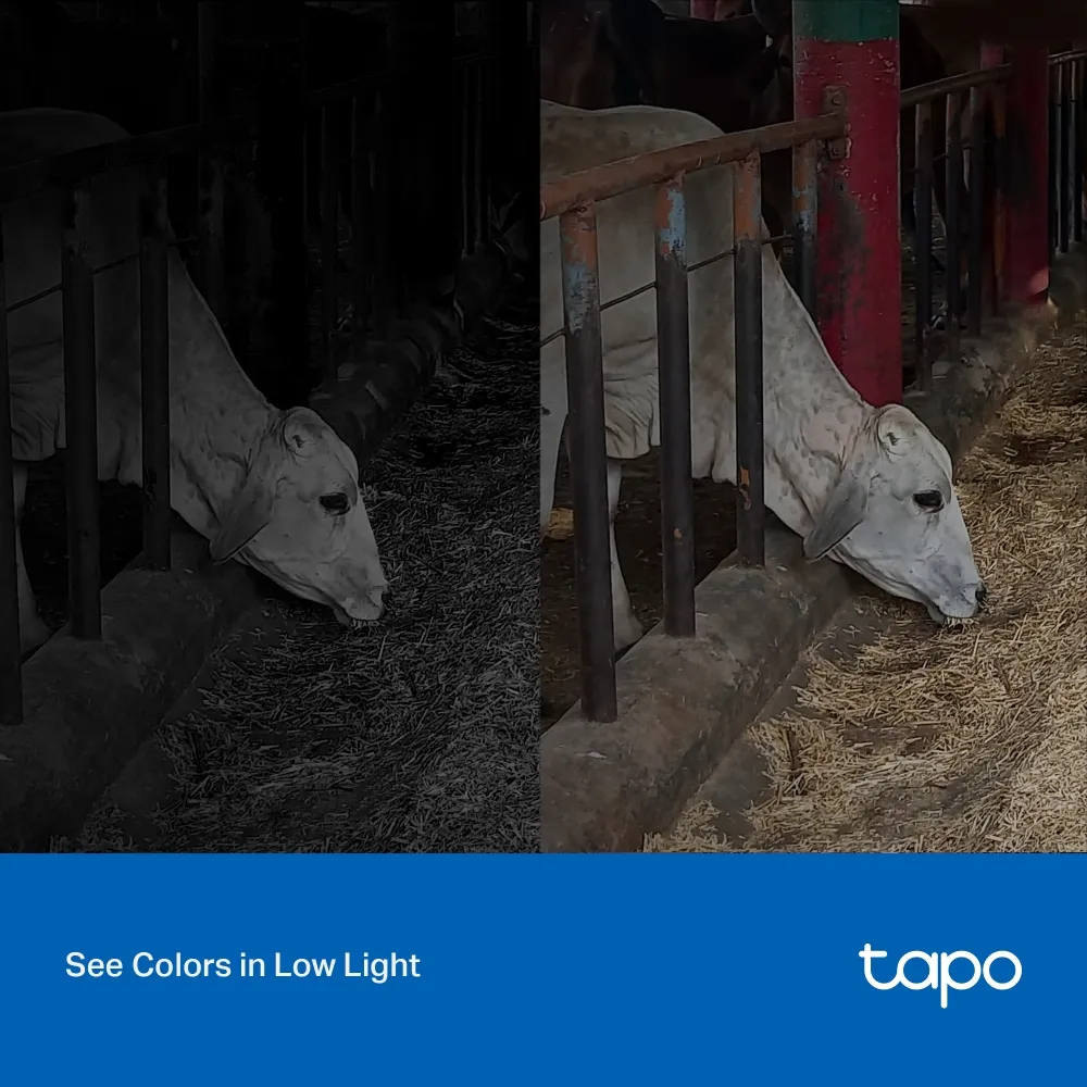 Tapo_C320WS_EU_2.20_overview_04_large_20231019030736f.webp