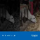 Tapo_C320WS_EU_2.20_overview_04_large_20231019030736f.webp