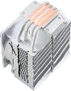 02-07-2025-12-07-06_ICE-BURG-ARPW-4P-6.webp